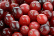 Cranberries