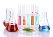 Test-tubes and green leaf tested in petri dish, isolated