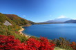Photo: Mt. Fuji and Lake Motosu in autumn, Japan Mt. Fuji and Lake Motosu in autumn, Japan