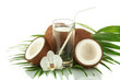 Coconuts with glass of milk, isolated on white
