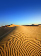 evening desert
