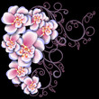 Flowers on bright a background