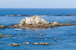 Cap Arago (USA)