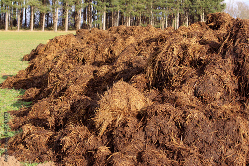 Photo: fumier agricole fumier agricole