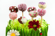 Cake Pop heart for valentine´s day and other celebrations