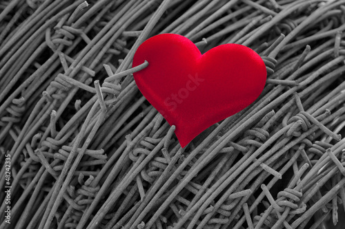 Photo: red heart on barbed wired background red heart on barbed wired background