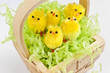 Photo: Cute yellow Easter chicks in a basket. Cute yellow Easter chicks in a basket.