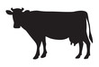 Cow silhouette isolated on white