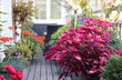 Well designed modern terrace