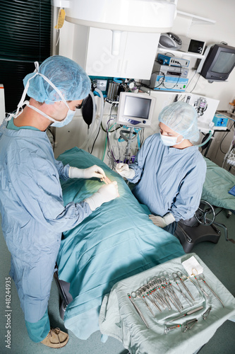 Photo: Veterinarian Doctor And Female Assistant Performing A Surgery Veterinarian Doctor And Female Assistant Performing A Surgery