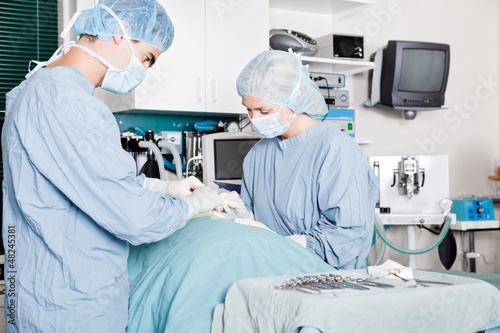 Photo: Veterinarian Doctor And Female Assistant Performing A Surgery Veterinarian Doctor And Female Assistant Performing A Surgery