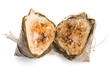 Traditional Chinese Rice Dumpling