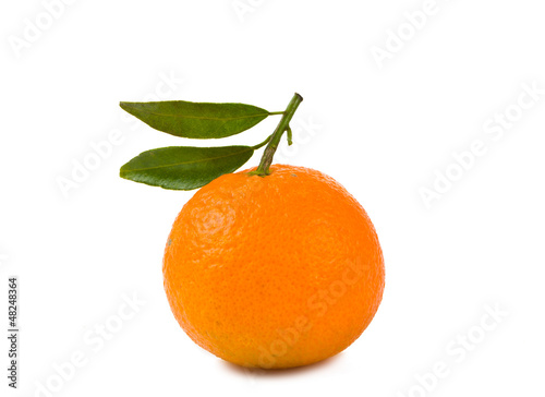 Photo: tangerines isolated tangerines isolated