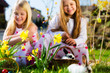 Children on Easter egg hunt with bunny
