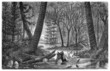 Prehistory : Landscape - Carboniferus