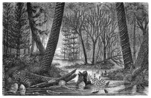 Illustration: Prehistory : Landscape - Carboniferus Prehistory : Landscape - Carboniferus