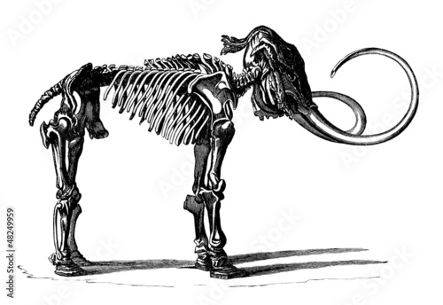 Illustration: Prehistoric Mammoth Prehistoric Mammoth