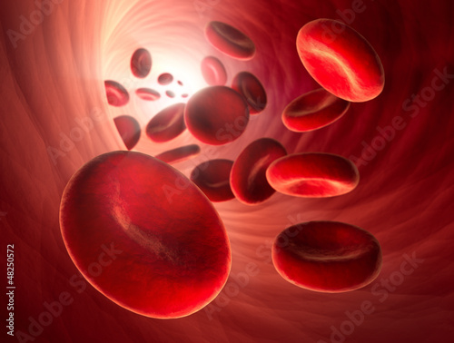 Illustration: Rote Blutkörperchen in Arterie Rote Blutkörperchen in Arterie