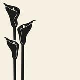 Callas.Vector.