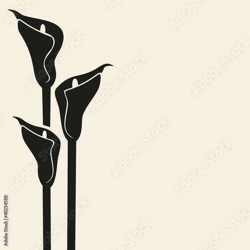 Vector: Callas.Vector. Callas.Vector.