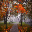 mysterious fog, mist world in silence