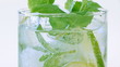 Mojito cocktail closeup