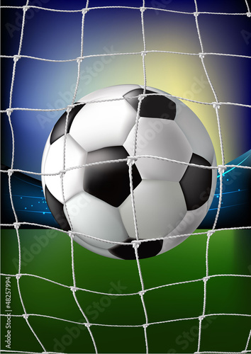 Vector: Ball in the net - stadium Ball in the net - stadium