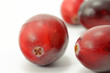 Cranberries