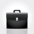 Brief case