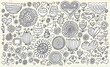 Doodle Sketch Flowers Spring Vector Set