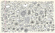 Doodle Sketch Flowers Spring Vector Set