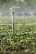 water sprinkler