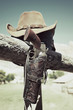 Photo: cowboy gun cowboy gun