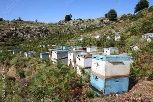Photo: Grèce - ruches en Crète Grèce - ruches en Crète