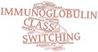 Word cloud for Immunoglobulin class switching