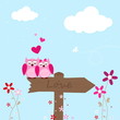 Owl in Love
