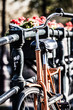 Amsterdam, Canal and bike. Holland.