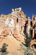 famous view of Bryce Canyon
