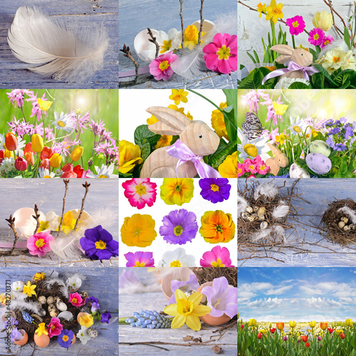 Photo: Collage with flowers, eggs an easter bunny Collage with flowers, eggs an easter bunny