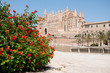 Kathedrale La Seu in der Hauptstadt Palma (Mallorca)