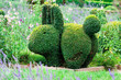 Foto: beautiful park beautiful park
