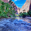 rapids of the Virgin River
