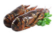 raw lobster, on white