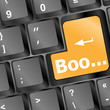 boo button on computer keyboard showing error or mistake concept