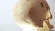 Skull - medical equipment - bright to dark