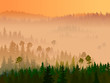 Illustration of valley with coniferous wood.