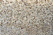 Mosaic chip background