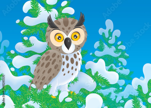 Illustration: owl perched on a snow-covered fir owl perched on a snow-covered fir