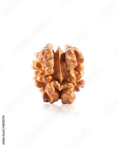Photo: walnut isolated on the white walnut isolated on the white