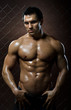 muscular  guy